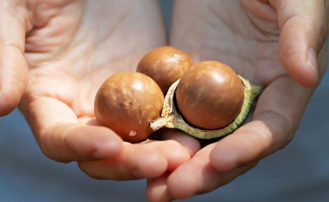 تشخیص اصل بودن روغن ماکادمیا