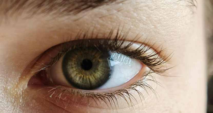 روغن-جوانه-گندم-برای-مژه