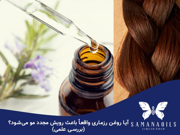 آیا روغن رزماری باعث رویش مجدد مو می شود